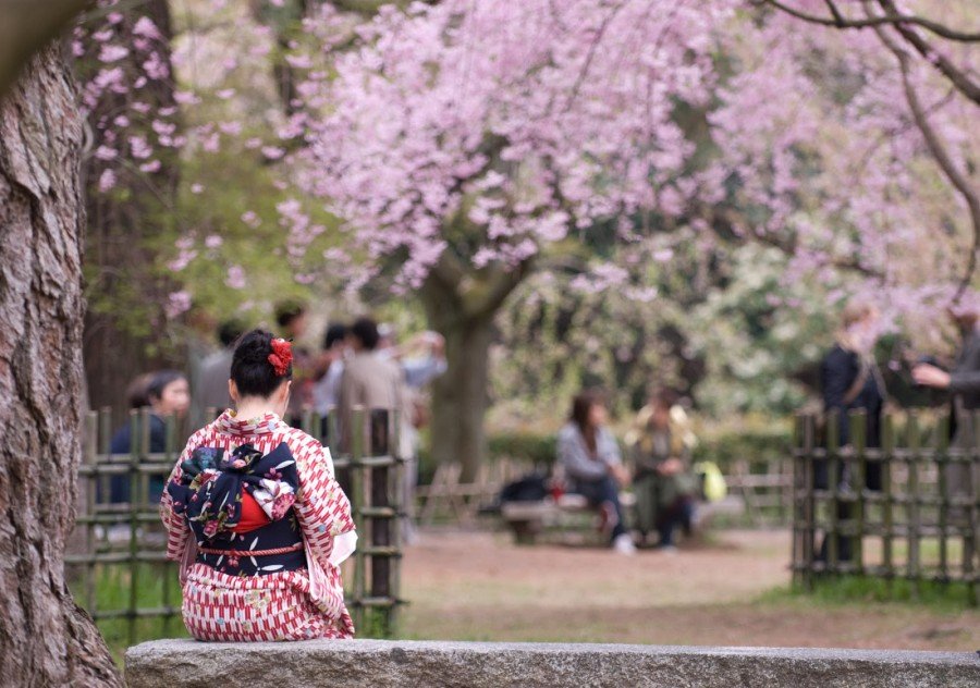 Wisata Jepang Wisata Jepang
